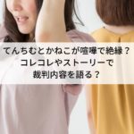 てんちむとかねこが喧嘩で絶縁？コレコレやストーリーで裁判内容を語る？
