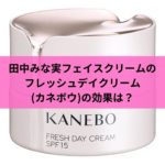 田中みな実フェイスクリームのフレッシュデイクリーム(カネボウ)の効果は？