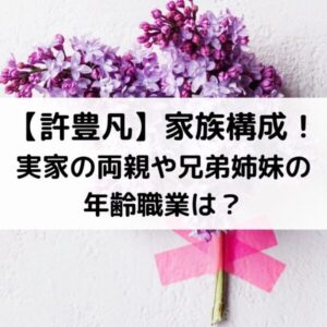 許豊凡の家族構成！実家の両親や兄弟姉妹の年齢職業は？