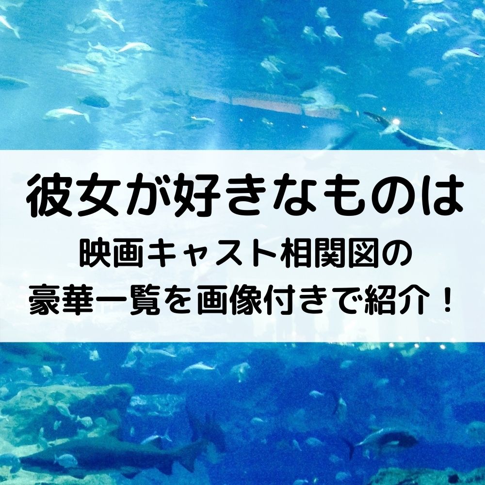 彼女が好きなものは映画キャスト相関図の豪華一覧を画像付きで紹介 ベルーチェ