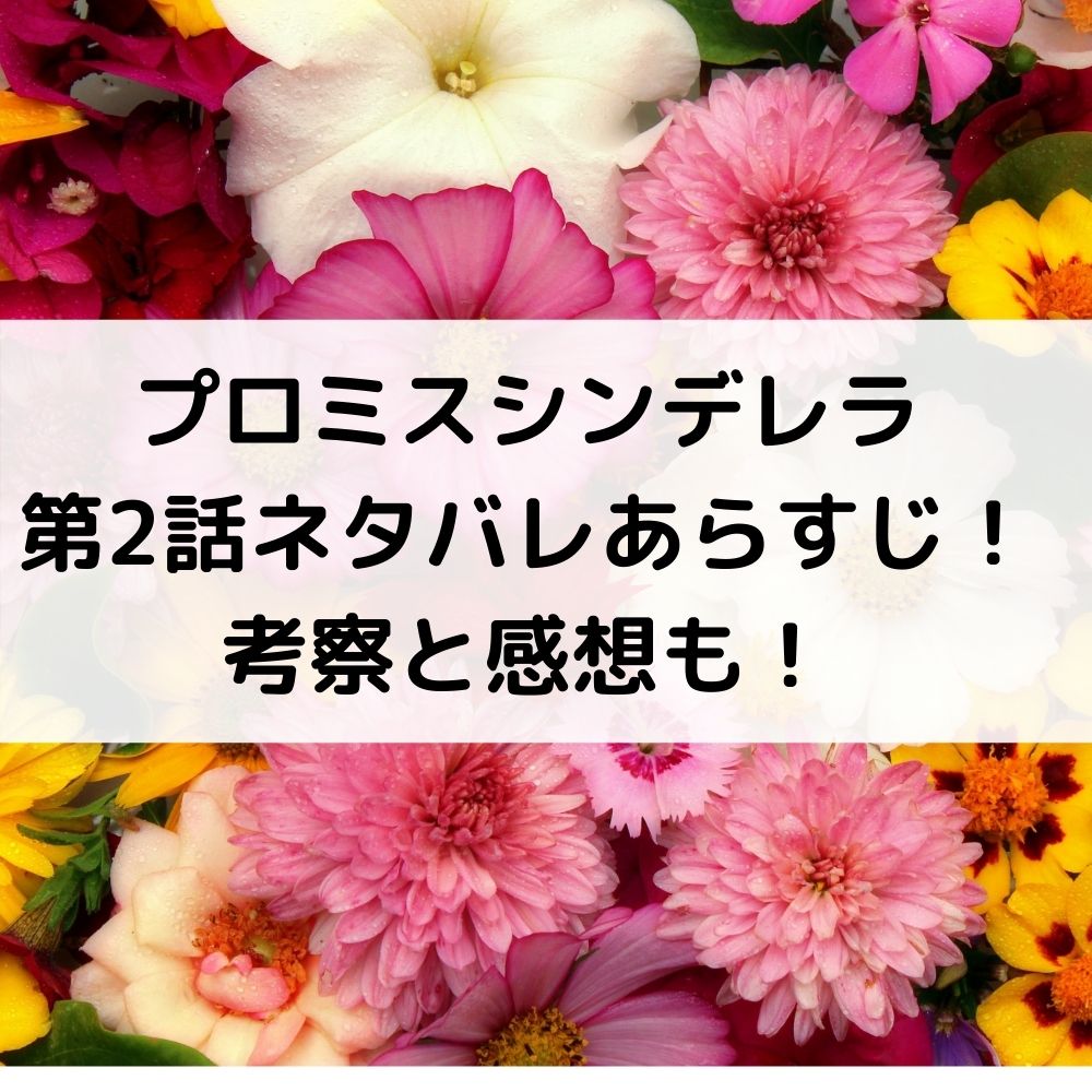 プロミスシンデレラ第2話ネタバレあらすじ！考察と感想も！