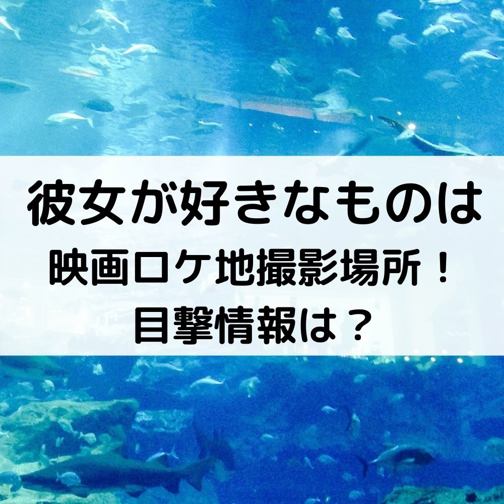 彼女が好きなものは映画ロケ地撮影場所！目撃情報は？