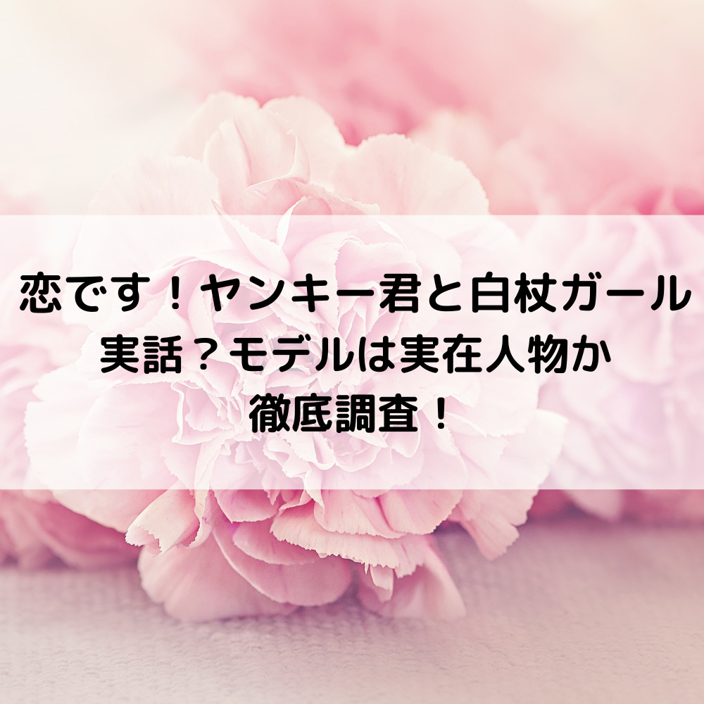 恋ですヤンキー君と白杖ガールは実話？モデルは実在人物か徹底調査！