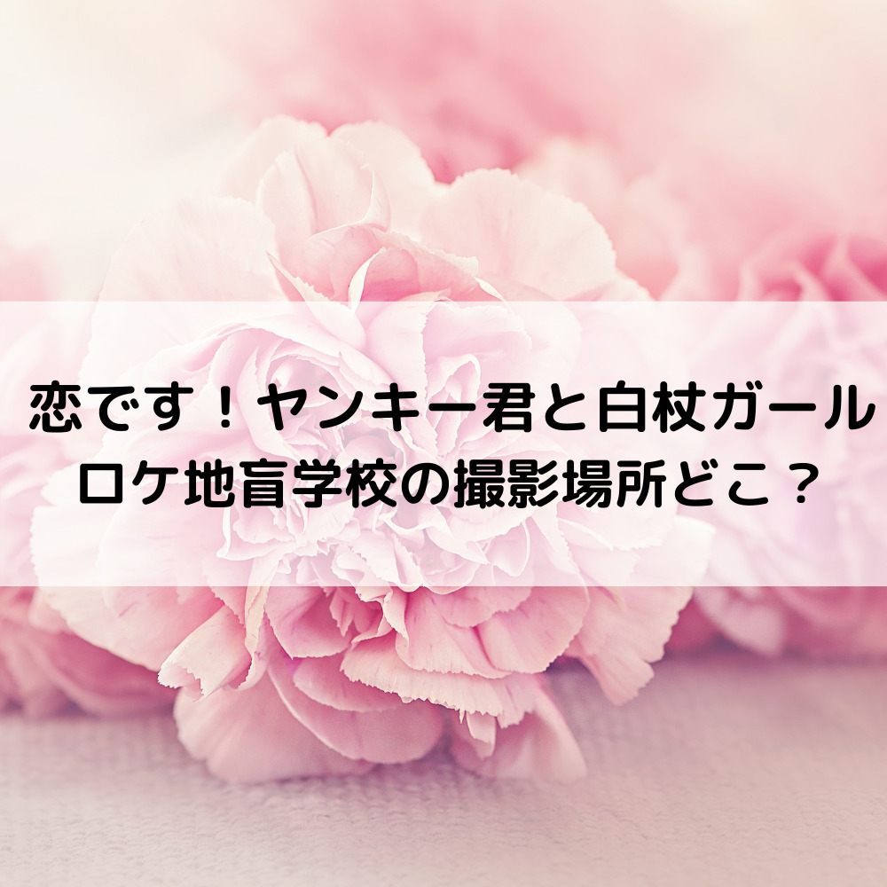 恋ですヤンキー君と白杖ガールロケ地盲学校の撮影場所どこ？