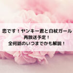 恋ですヤンキー君と白杖ガール再放送予定！全何話のいつまでかも解説！