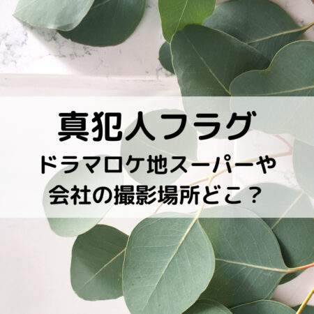 真犯人フラグドラマ金沢区や市原市ロケ地撮影場所 目撃情報は ベルーチェ