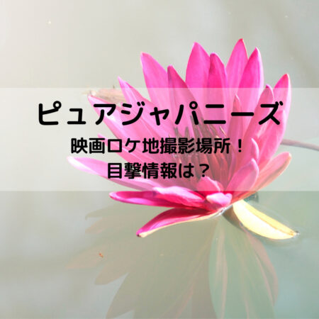 ピュアジャパニーズ映画ロケ地撮影場所！目撃情報は？
