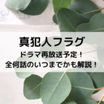 真犯人フラグドラマ再放送予定！全何話のいつまでかも解説！