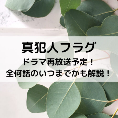 真犯人フラグドラマ再放送予定！全何話のいつまでかも解説！