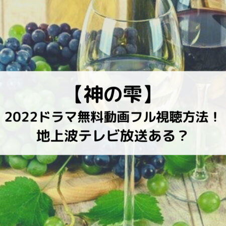 神の雫2022ドラマ無料動画フル視聴方法！地上波テレビ放送ある？