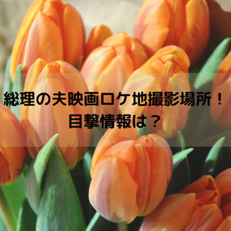 総理の夫映画ロケ地撮影場所！目撃情報は？