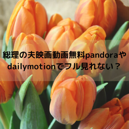 総理の夫映画動画無料pandoraやdailymotionでフル見れない？