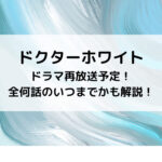 ドクターホワイトドラマ再放送予定！全何話のいつまでかも解説！