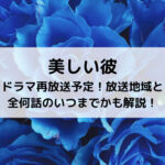 美しい彼ドラマ再放送予定！放送地域と全何話のいつまでかも解説！