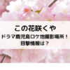 この花咲くやドラマ鹿児島ロケ地撮影場所！目撃情報は？