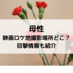 母性映画ロケ地撮影場所どこ？目撃情報も紹介