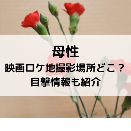 母性映画ロケ地撮影場所どこ？目撃情報も紹介