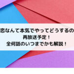 恋なんて本気でやってどうするの再放送予定！全何話のいつまでかも解説！