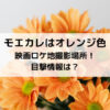 モエカレはオレンジ色映画ロケ地撮影場所！目撃情報は？