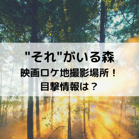 それがいる森映画の青木ヶ原樹海のロケ地撮影場所 目撃情報も紹介 ベルーチェ