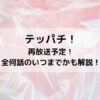 テッパチ再放送予定！全何話のいつまでかも解説！