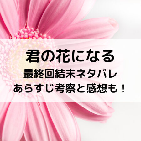 君の花になるドラマ最終回結末ネタバレあらすじ 考察と感想も ベルーチェ