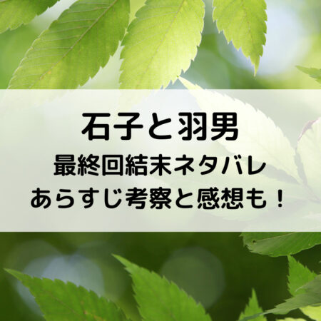 石子と羽男最終回結末ネタバレあらすじ 考察と感想も ベルーチェ