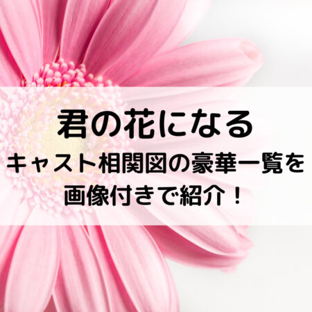 君の花になるキャスト相関図の豪華一覧を画像付きで紹介！