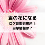 君の花になるロケ地撮影場所！目撃情報は？