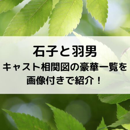 石子と羽男キャスト相関図の豪華一覧を画像付きで紹介！