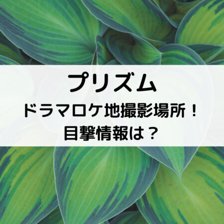 プリズムドラマロケ地撮影場所 目撃情報は ベルーチェ