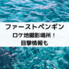 ファーストペンギンロケ地撮影場所！目撃情報も