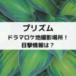 プリズムドラマロケ地撮影場所！目撃情報は？