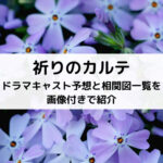 祈りのカルテドラマキャスト予想と相関図一覧を画像付きで紹介